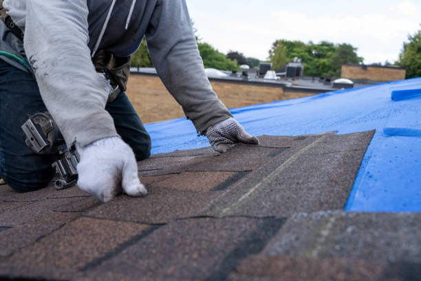 Hot Roofs in Canadian Lakes, MI